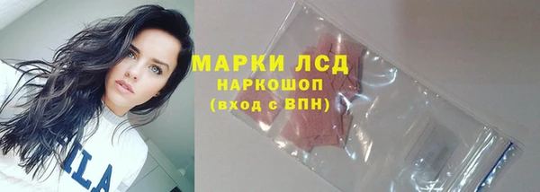 прущие грибы Алексеевка