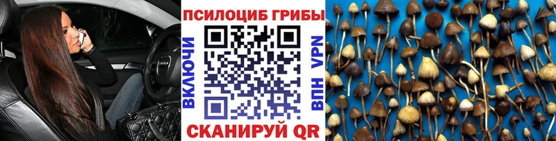 omg ссылки  Талица  Галлюциногенные грибы Magic Shrooms 